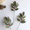 Holly stem 172 Holly stem 172