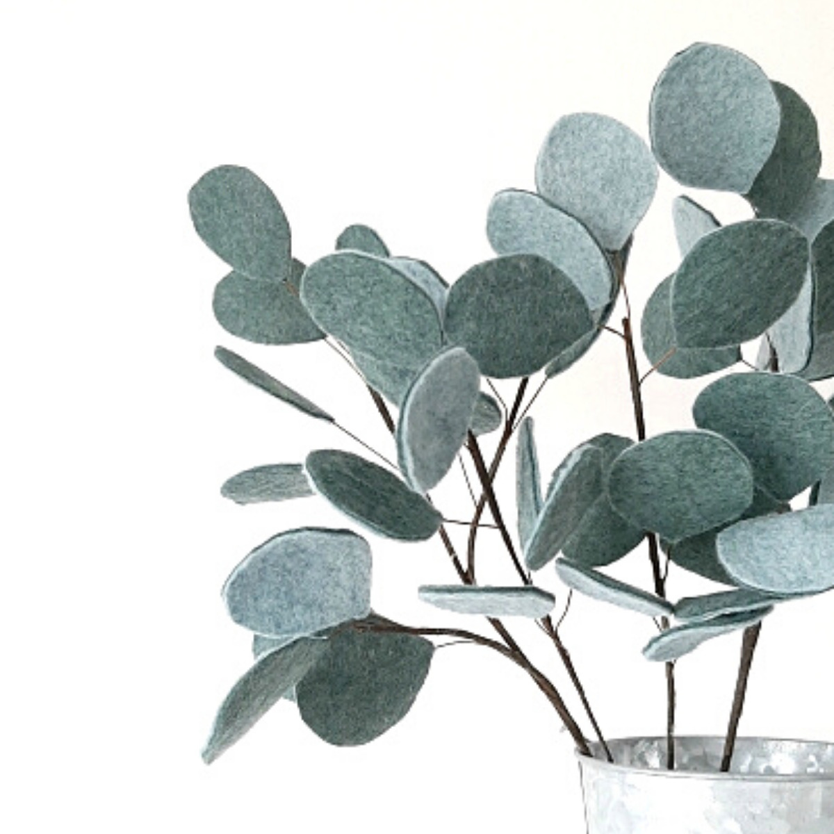 Silver Dollar Eucalyptus Single Stem - The Tsubaki