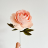 Felt peony single stem