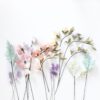 Pastel Floral Collection 2 -The Tsubaki72