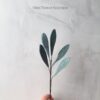 Mini olive single stem