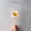 Mini Iceland poppy flower