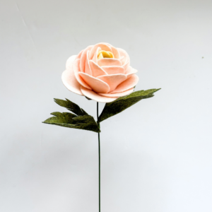 Felt ranunculus