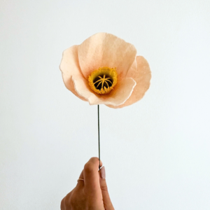 Iceland Poppy felt