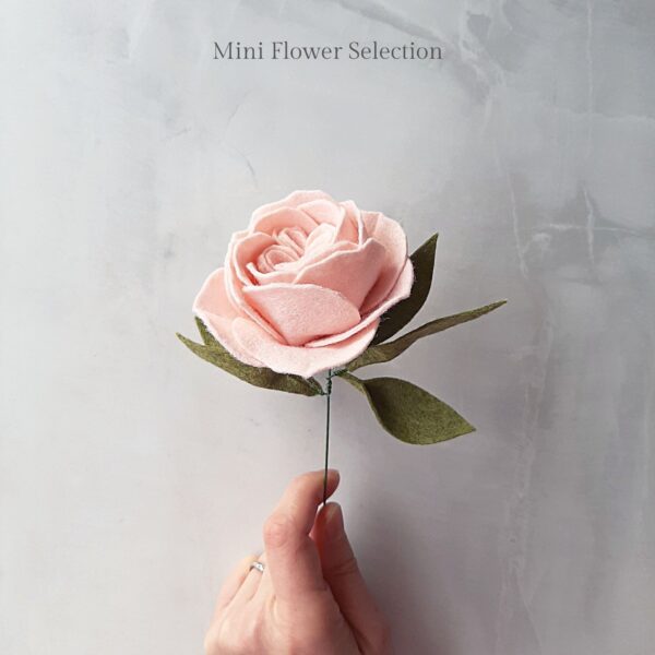 Mini Juliet rose single stem flower