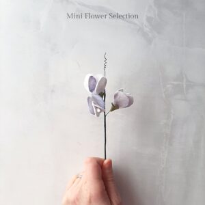Mini sweet pea single flower