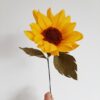 Sunflower flower single stem