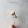 Flower bud single stem