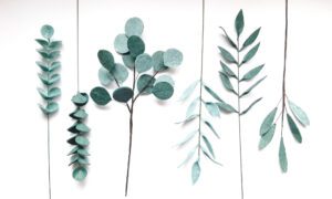 My Top 3 favourite artificial stems to make your arrangements look like a real one
