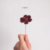 Cosmos 1 stem Cosmos 1 stem