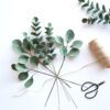Eucalyptus blue green 2 Eucalyptus blue green 2