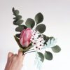 Protea arrangement 2 Protea arrangement 2