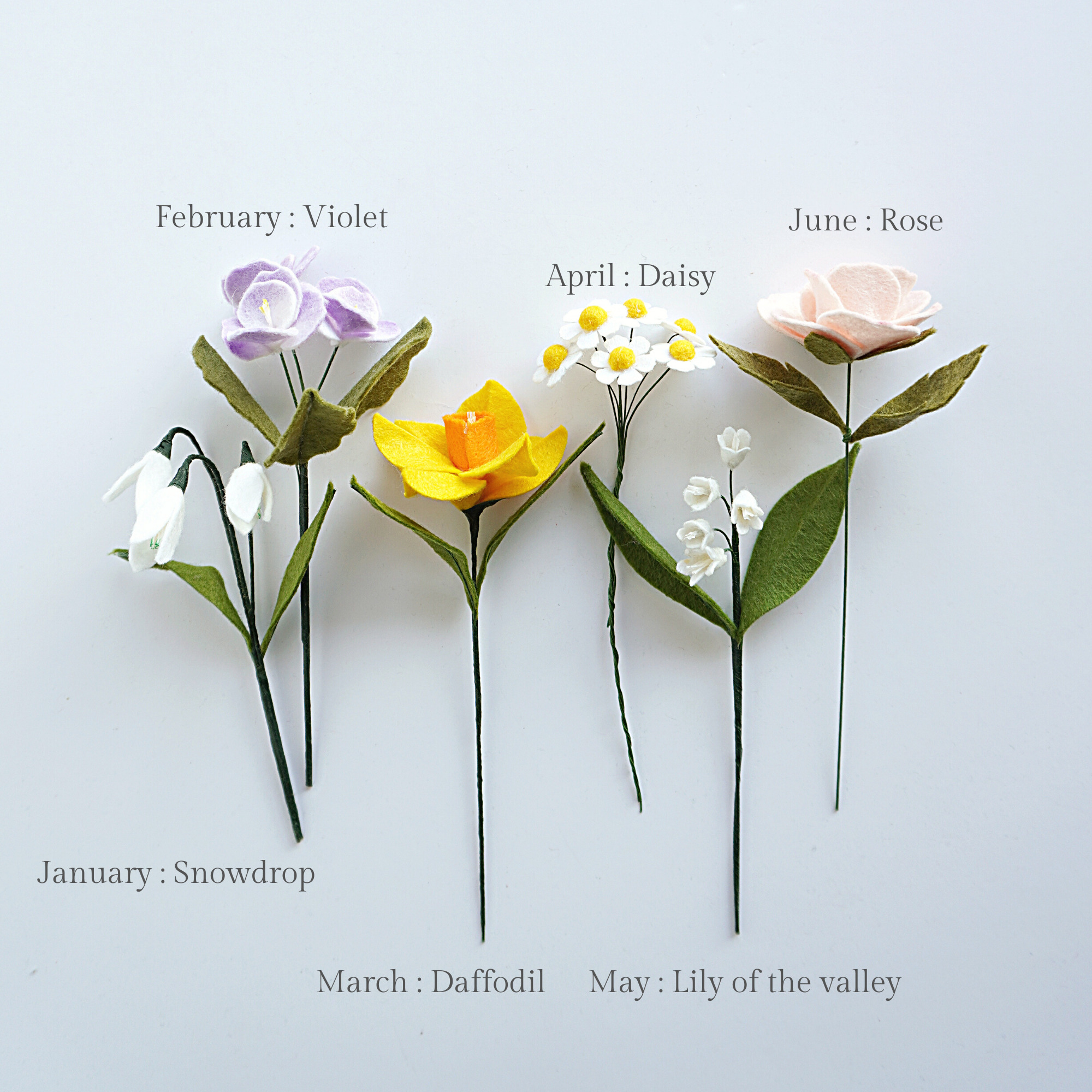 Birth flower collection by month 3