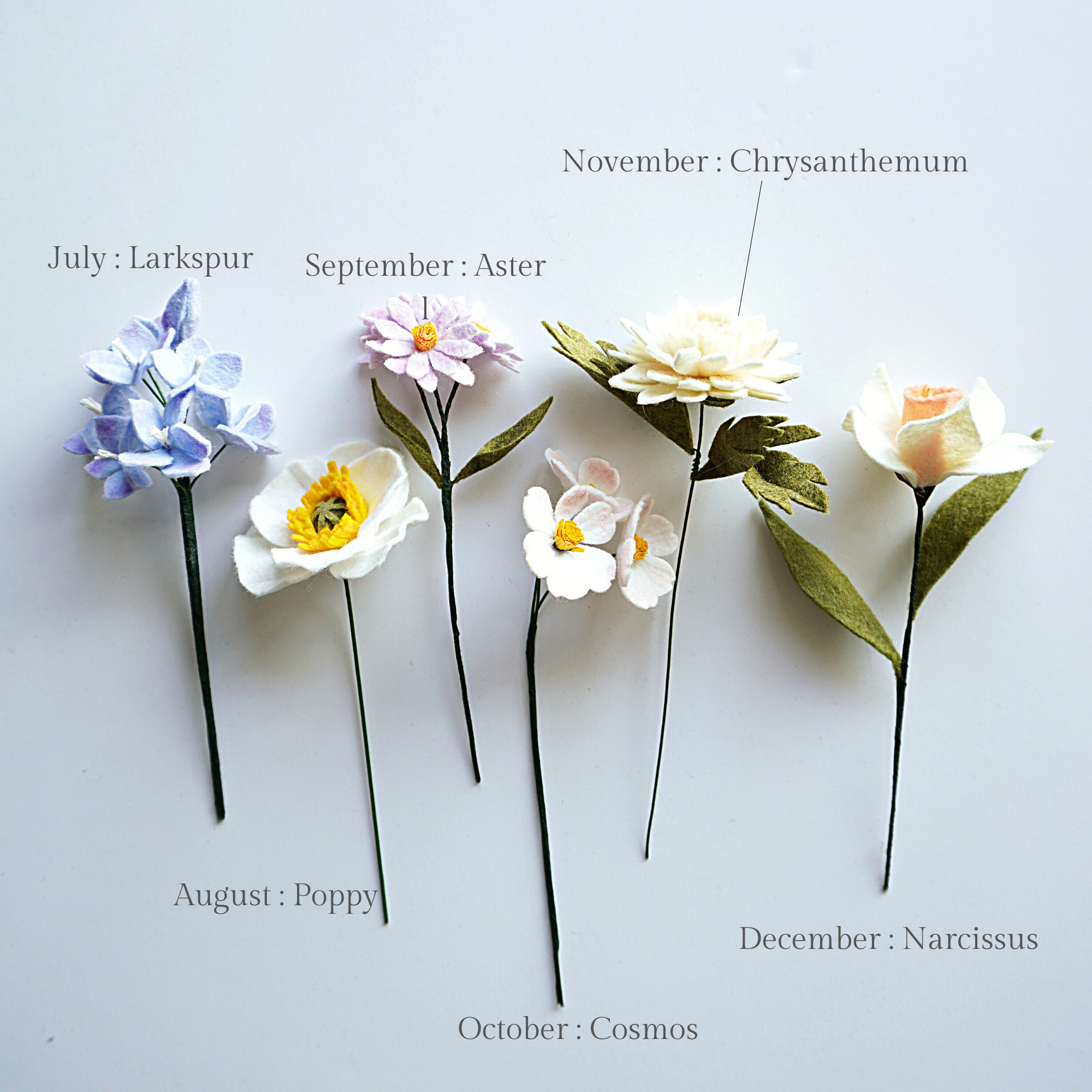 Birth flower collection by month 1