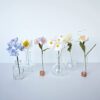 My birth flower in vase 7 My birth flower in vase 7