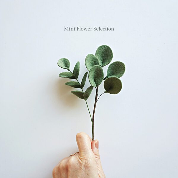 Mini Eucalyptus blue green Mini Eucalyptus blue green