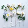 Birth flower collection 3 Birth flower collection 3