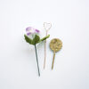 My birth flower Violet My birth flower Violet