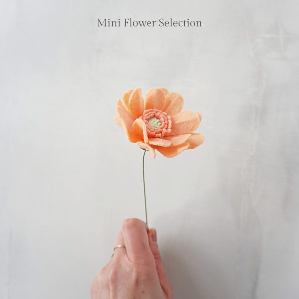 Mini Gerbera flower single stem Mini Gerbera flower single stem