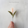 75 Mini Tulip Flower single stem