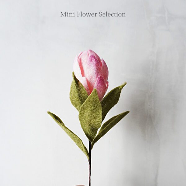 Mini Protea Single Flower Mini Protea Single Flower