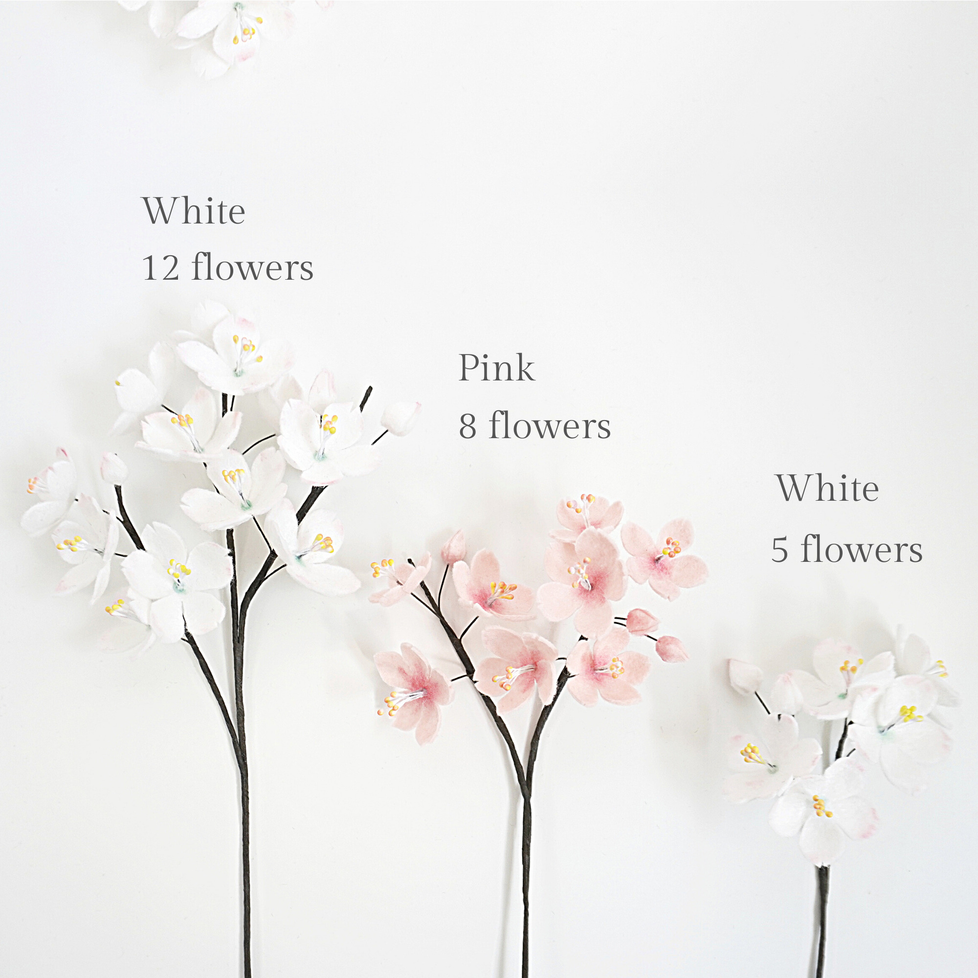 Cherry Blossom option
