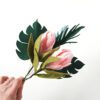 Protea Bouquet image 1 Protea Bouquet image 1