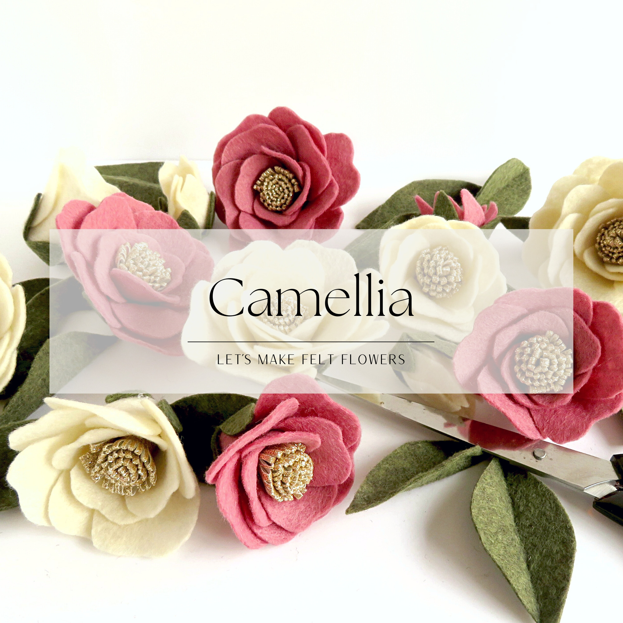 Camellia tutorial