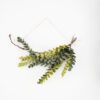 Eucalyptus wall hanging Eucalyptus wall hanging