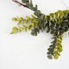 2 Eucalyptus wall hanging olive green close up