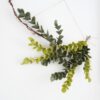 Eucalyptus wall hanging olive green Eucalyptus wall hanging olive green image