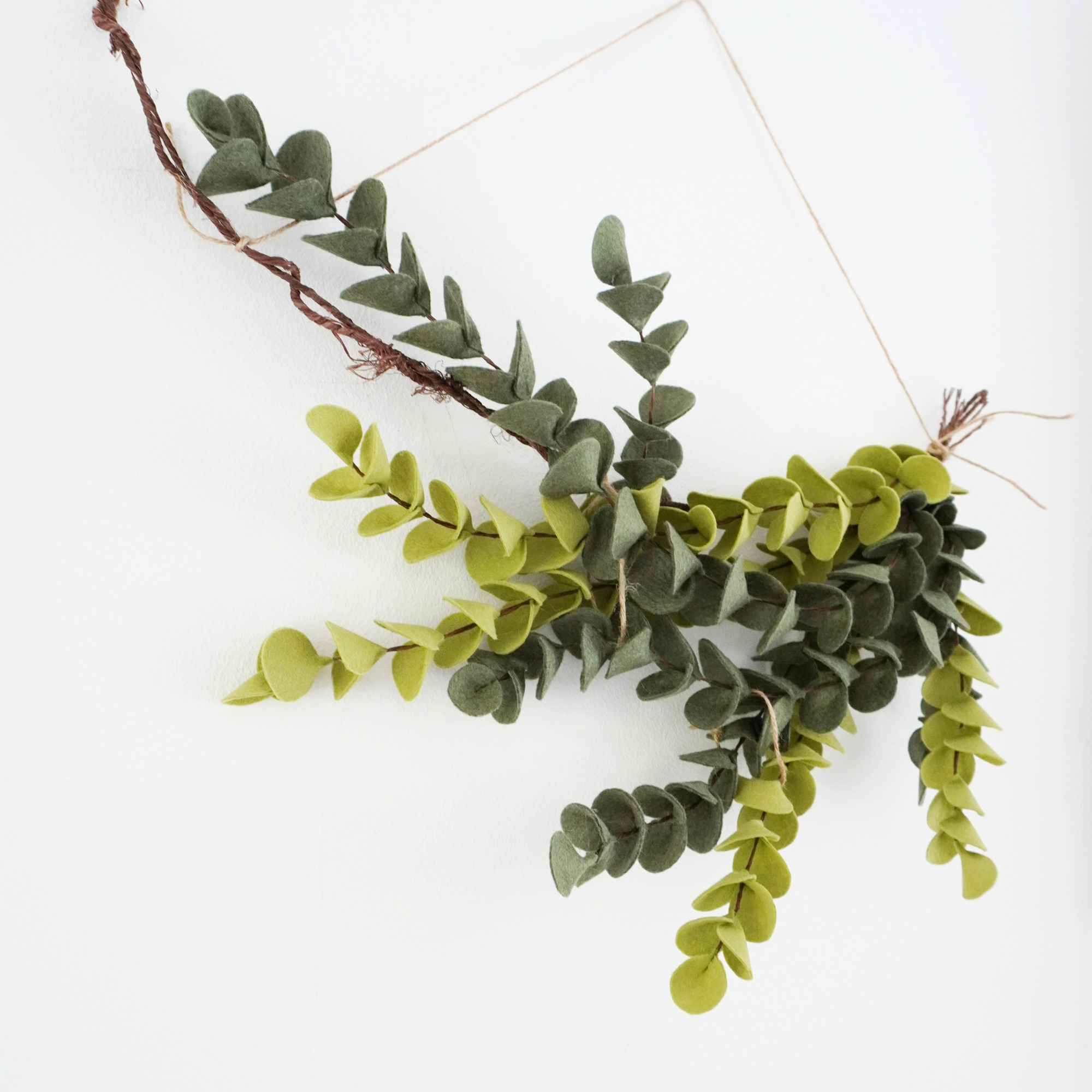 Eucalyptus wall hanging olive green image