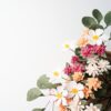 5 Autumn flowers