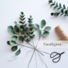 felt flower tutorials online course Eucalyptus felt flower tutorials online course Eucalyptus
