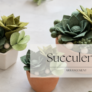 felt succulents pot arrangement mini course image