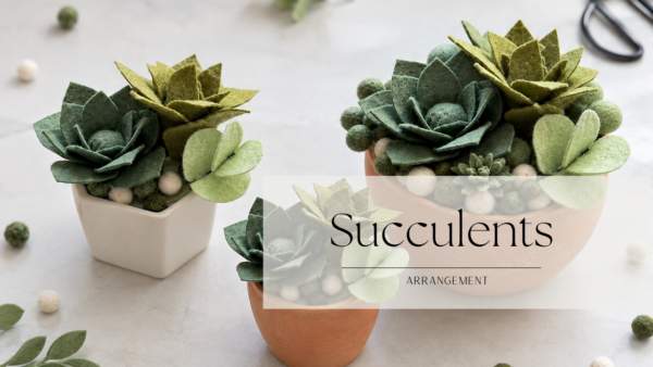 felt succulents pot arrangement mini course image